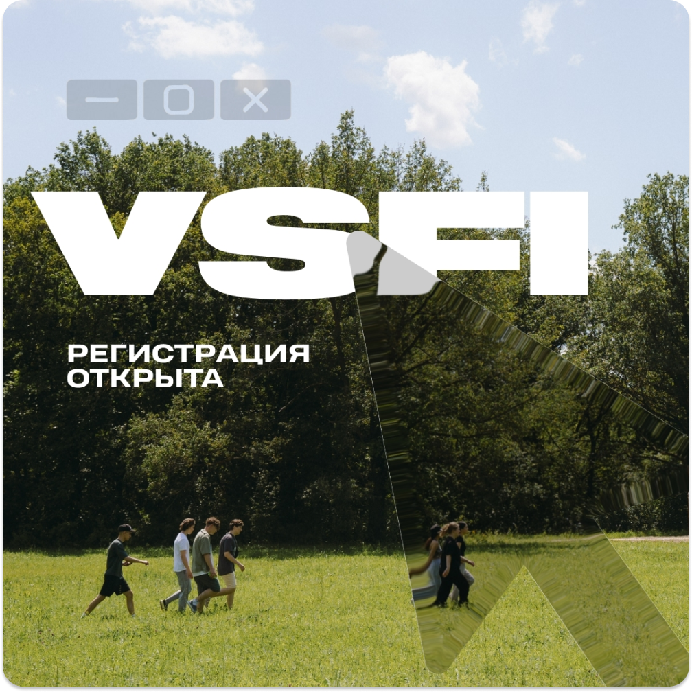 VSFI